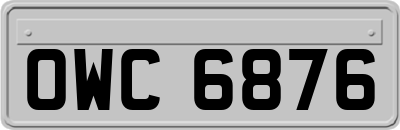 OWC6876