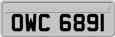 OWC6891