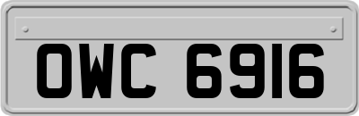 OWC6916