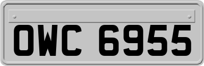 OWC6955