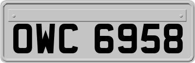 OWC6958