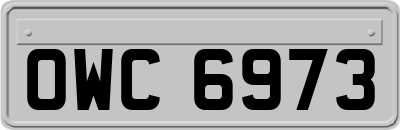 OWC6973
