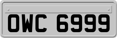 OWC6999