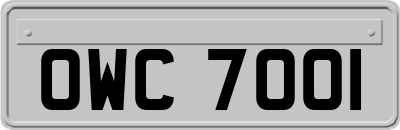 OWC7001