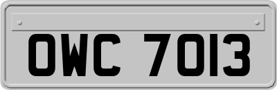 OWC7013