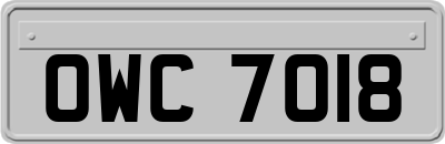 OWC7018