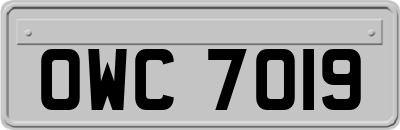 OWC7019