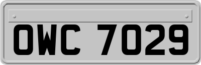 OWC7029