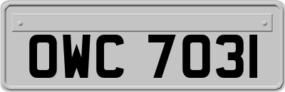 OWC7031