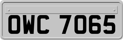 OWC7065