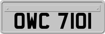 OWC7101