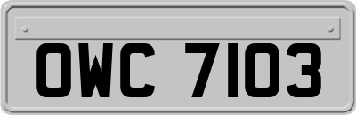 OWC7103