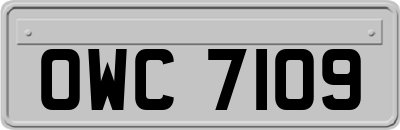 OWC7109