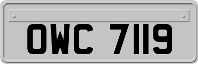 OWC7119
