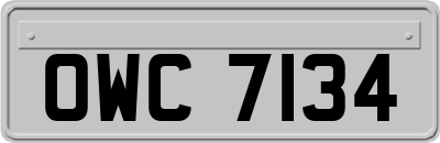 OWC7134