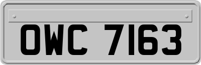 OWC7163