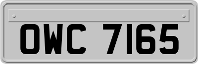 OWC7165