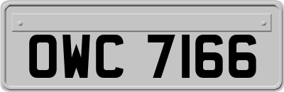 OWC7166