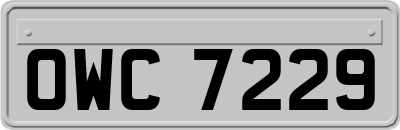 OWC7229
