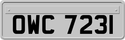 OWC7231