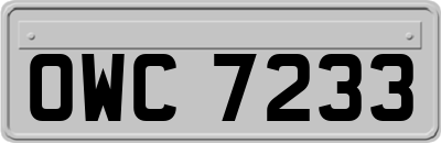 OWC7233