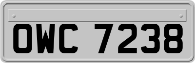 OWC7238