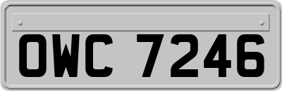 OWC7246