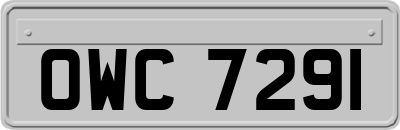 OWC7291