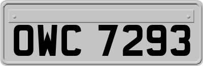 OWC7293