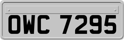 OWC7295