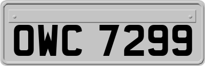 OWC7299