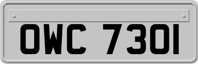 OWC7301