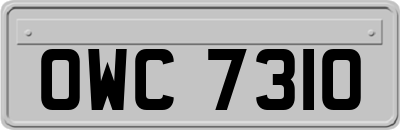 OWC7310