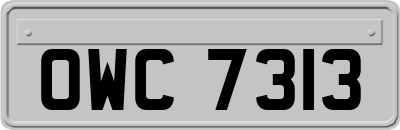 OWC7313