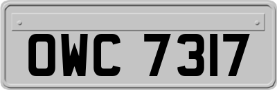 OWC7317