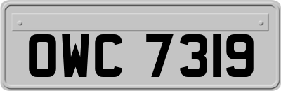 OWC7319