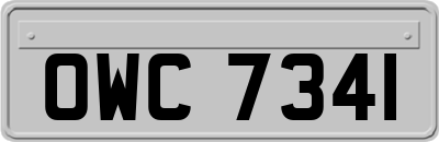 OWC7341