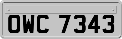 OWC7343