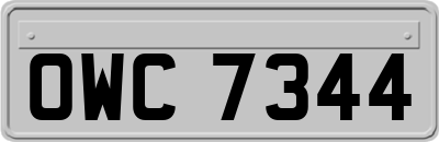 OWC7344