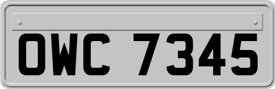 OWC7345