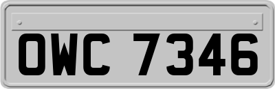 OWC7346