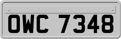 OWC7348