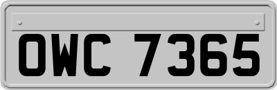 OWC7365