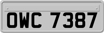 OWC7387
