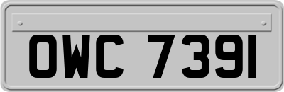OWC7391
