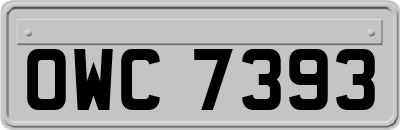 OWC7393