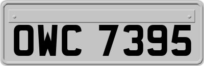 OWC7395