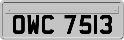 OWC7513