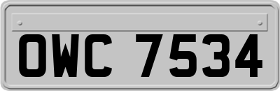 OWC7534
