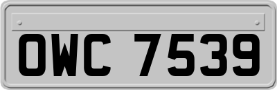 OWC7539